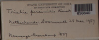 Image Associated With the Occurence